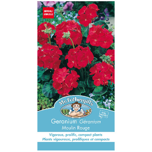 Semence de fleurs en sachet