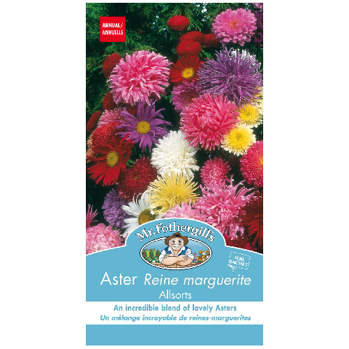 Semence de fleurs en sachet