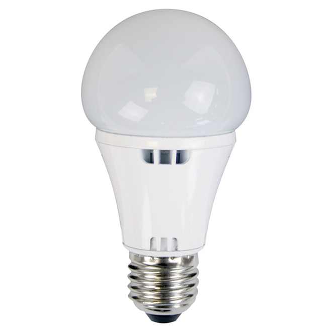 Ampoule à DEL A19 6 watts à intensité non variable