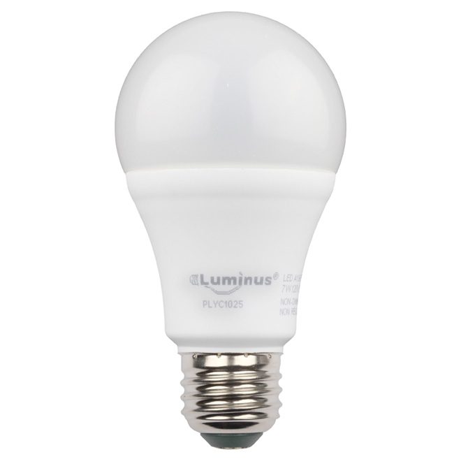 Ampoule DEL A19 6 W, intensité non réglable, lumière du jour