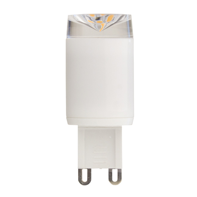 2.5W LED Bulb