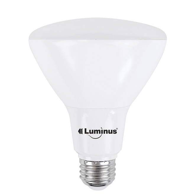 11W LED Bulb