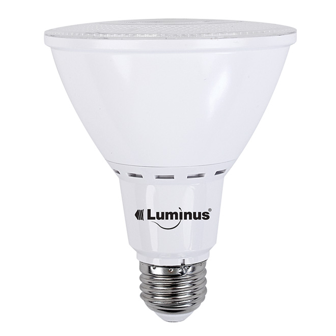Ampoule DEL 12W