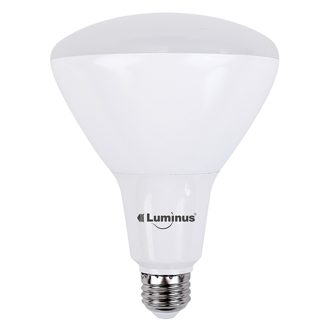 17W LED Bulb