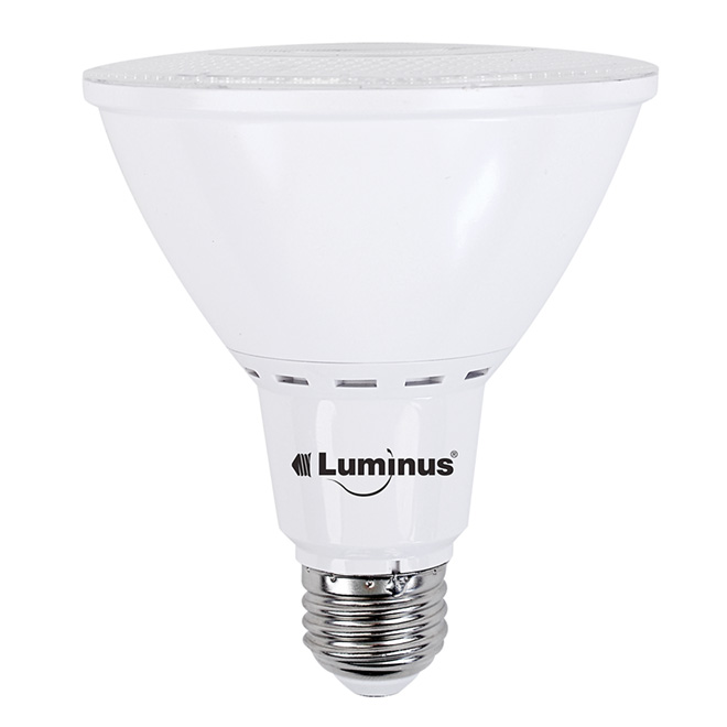 Ampoule DEL 19W