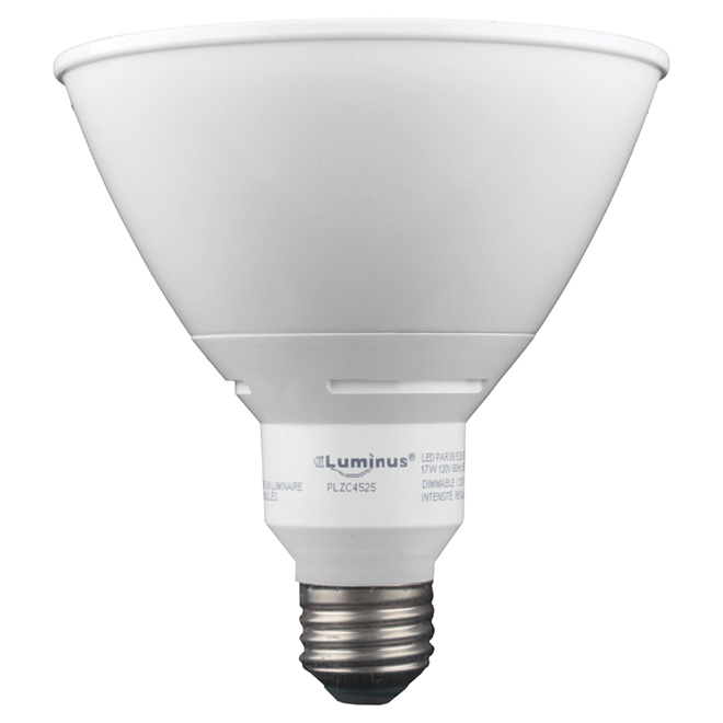 Ampoule DEL 17W