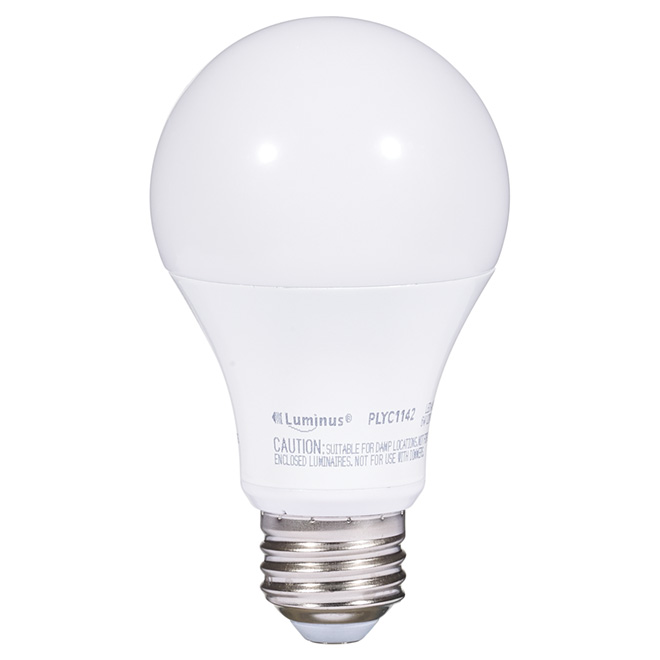 Ampoule DEL A19 6 W, intensité non réglable, blanc chaud