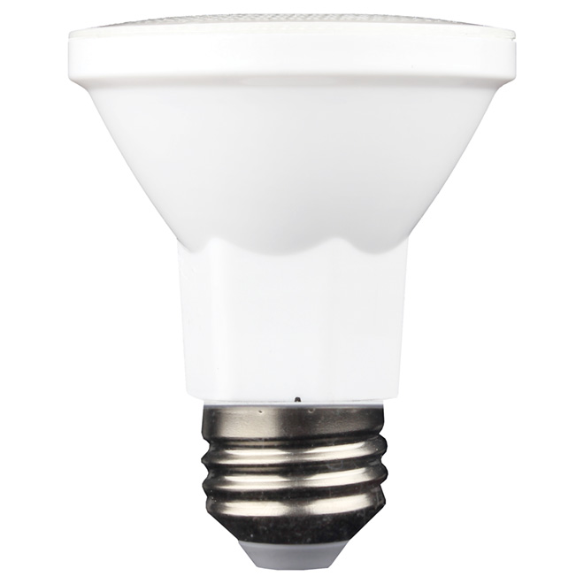 Ampoule DEL PAR20 6 W, intensité variable, blanc brillant