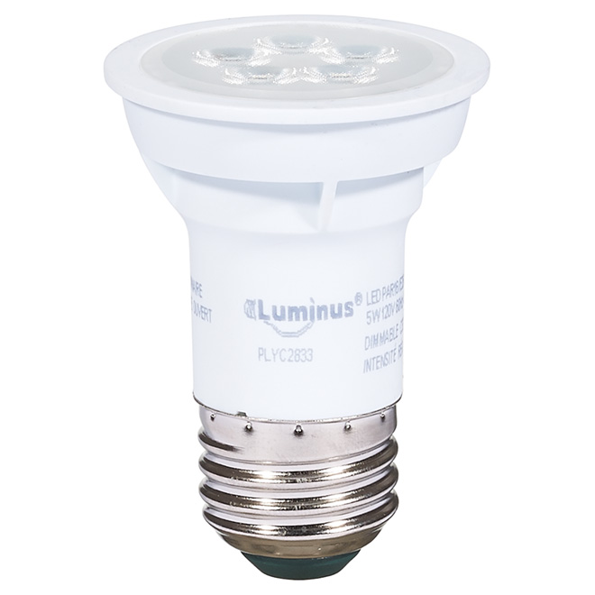 Ampoule DEL PAR16 5 W, intensité variable, blanc brillant