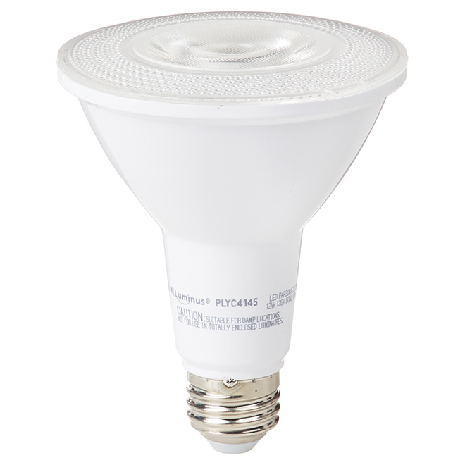 Ampoule DEL PAR30 12 W, intensité variable, lumière du jour