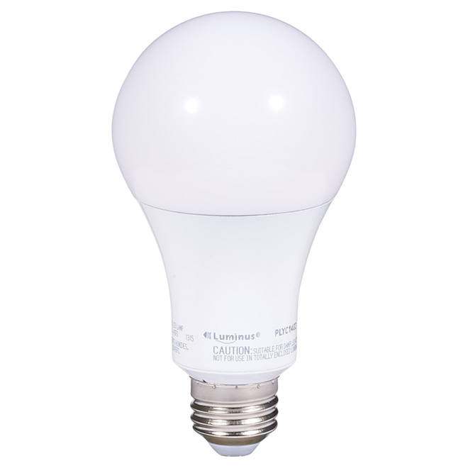 Ampoule DEL A21 15 W, intensité variable, blanc chaud