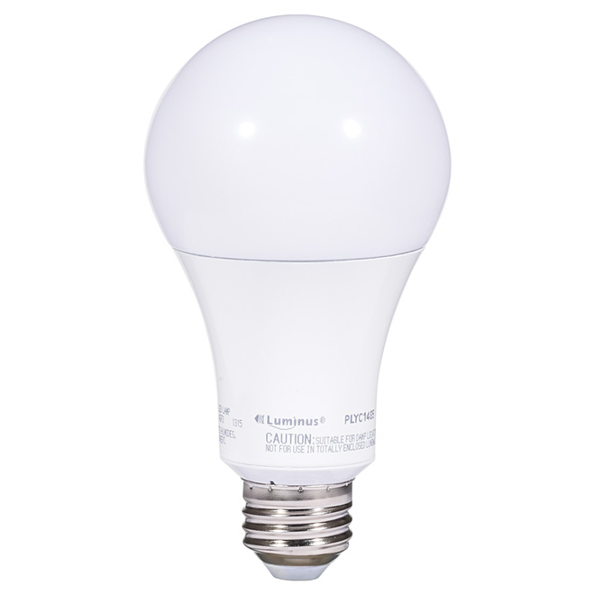 Ampoule DEL A21 15 W, intensité variable, lumière du jour