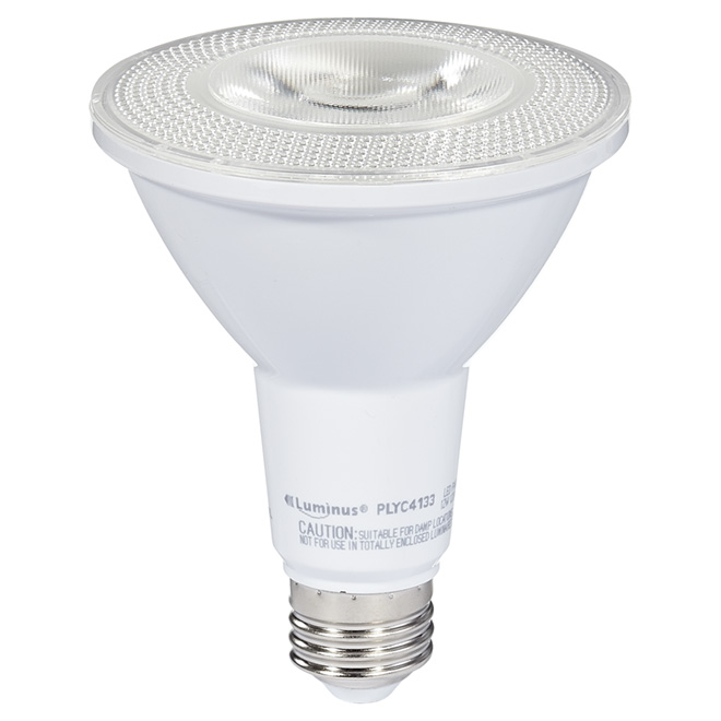 Ampoule DEL PAR30 12 W, intensité variable, blanc brillant