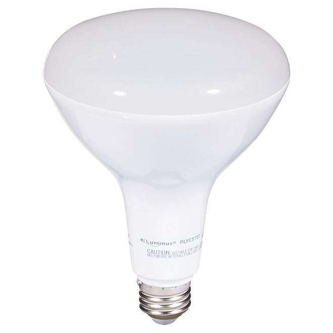 Ampoule DEL BR40 17 W, intensité variable, blanc chaud
