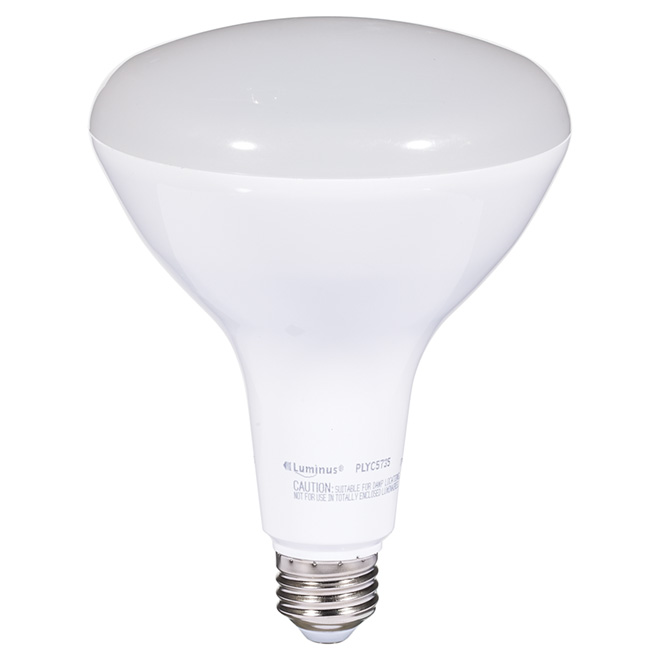 17W LED Dimmable BR40 Bulb - Day Light