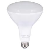 Ampoule DEL BR40 17 W, intensité variable, lumière du jour