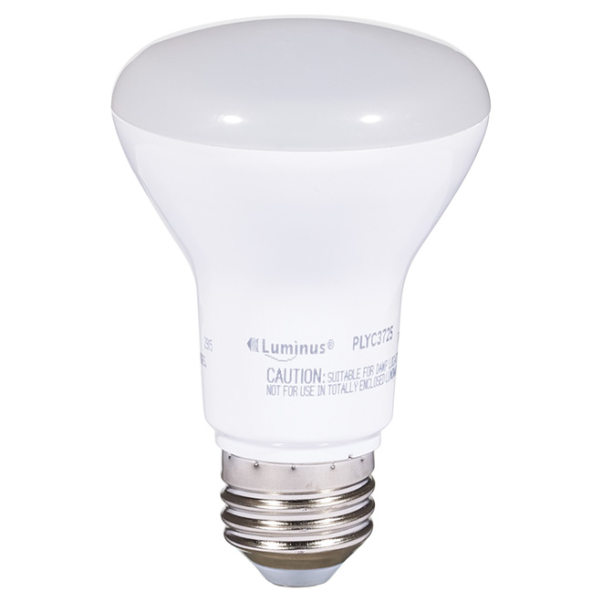 Ampoule DEL R20 7 W, intensité variable, lumière du jour