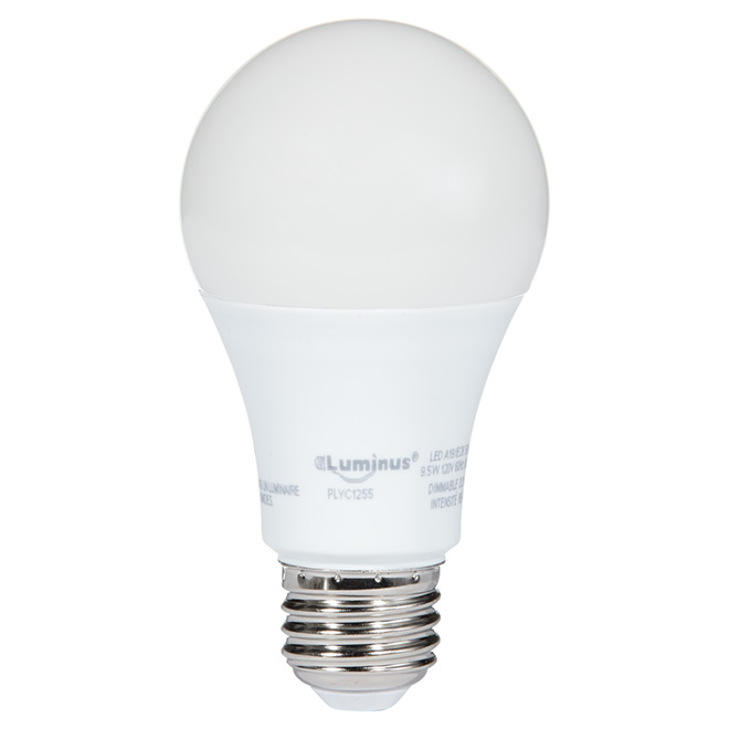 Ampoule DEL A19, 9,5 W, lumière de jour