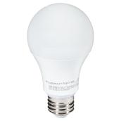 Ampoule DEL, A19, lumière du jour