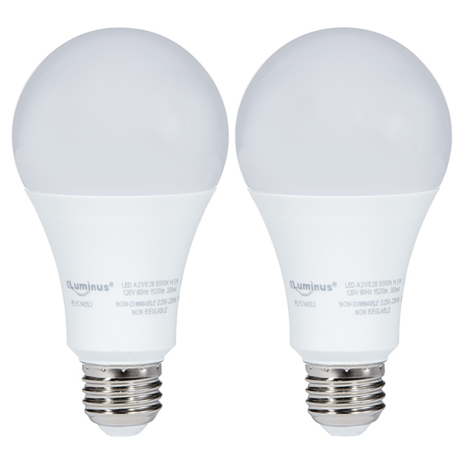 Ampoule DEL A21 14,5 W, non variable, lumière du jour, 2/pqt