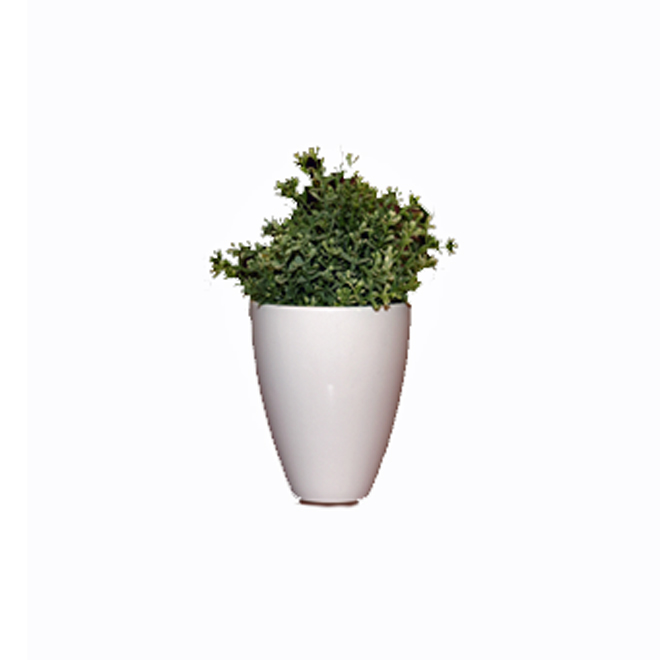Pot à orchidée en céramique, 4,4", blanc