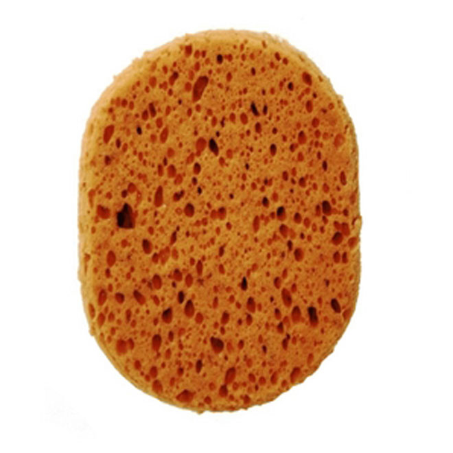 Car and Boat Sponge