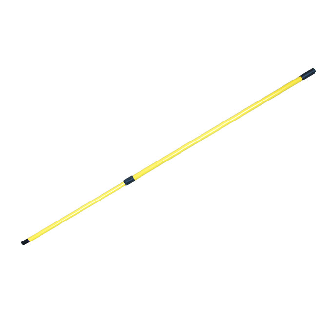 Extendable pole