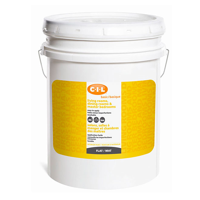 Latex Acrylic Interior Paint