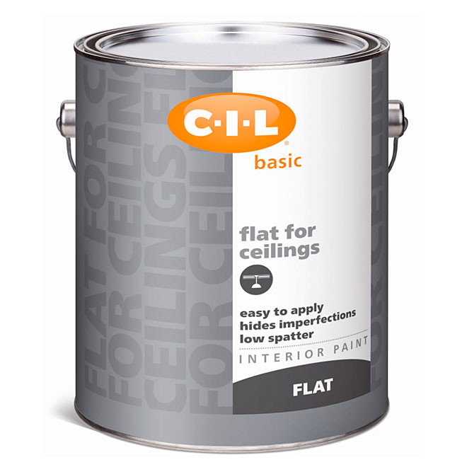Latex Acrylic Interior Paint