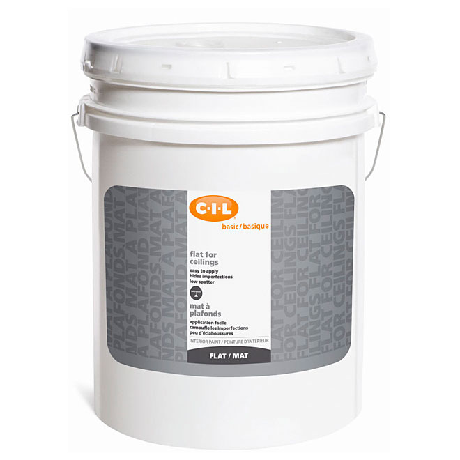 Latex Acrylic Interior Paint