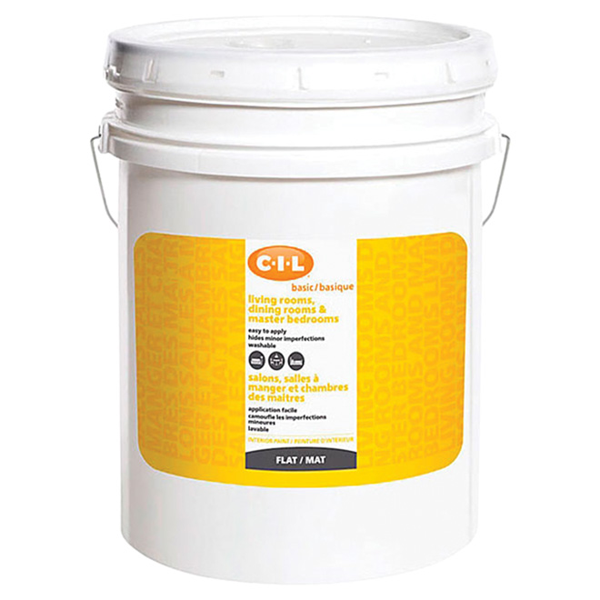 Latex Acrylic Interior Paint
