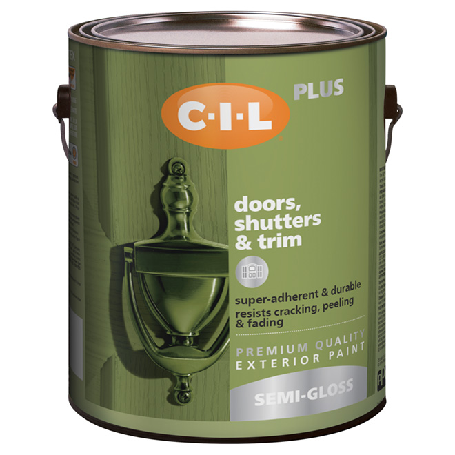 Latex Acrylic Exterior Paint