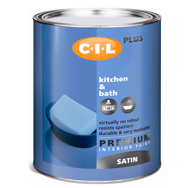 Latex Interior Paint