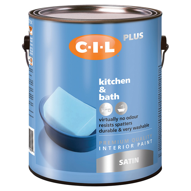 Latex Interior Paint