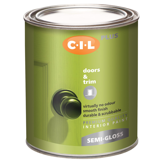 Latex Interior Paint