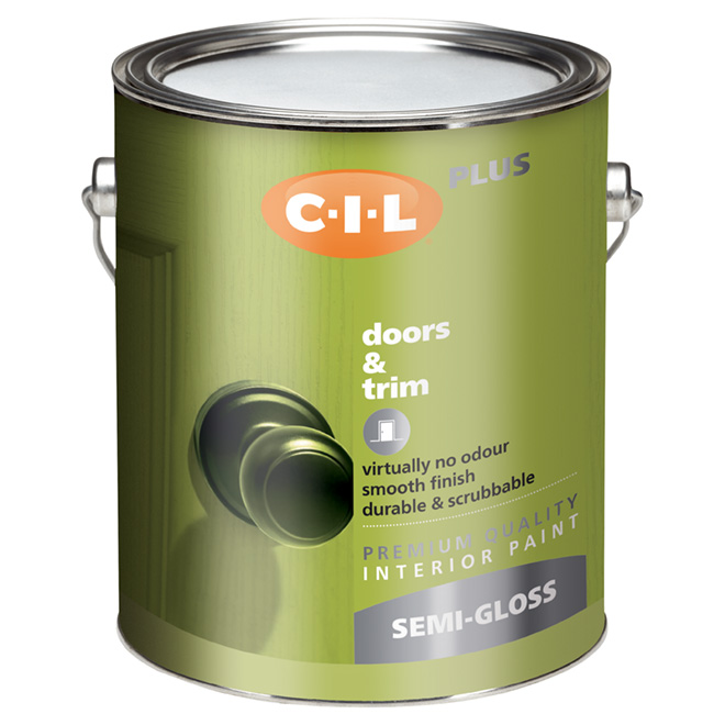 Latex Interior Paint