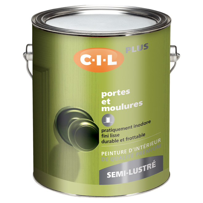 Peinture d'intérieur au latex