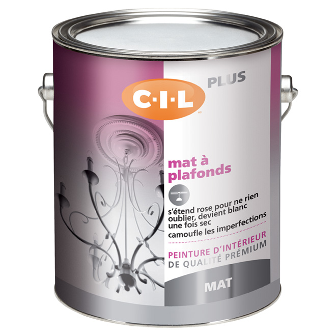Peinture d'intérieur au latex