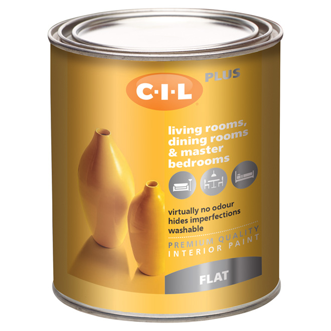 Latex Interior Paint