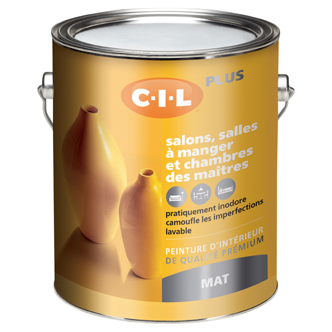 Peinture d'intérieur au latex