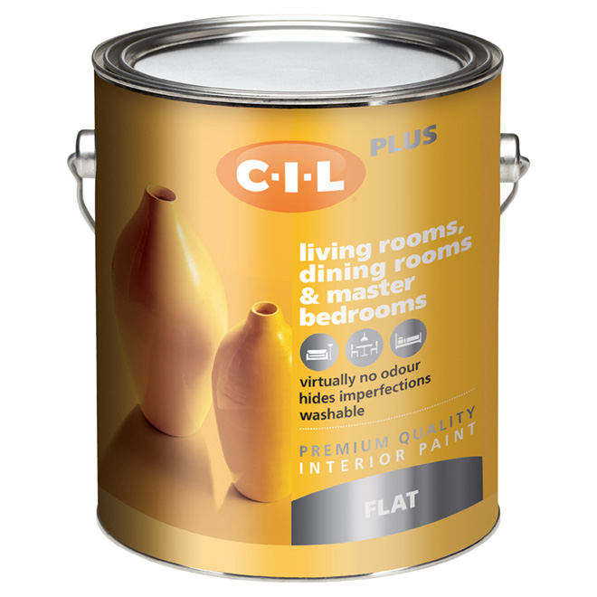 Latex Interior Paint