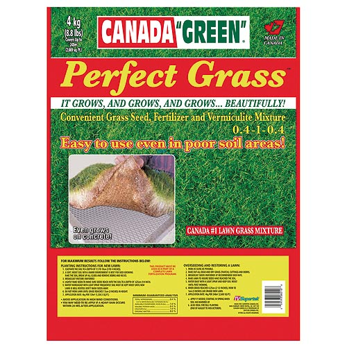Grass Seed