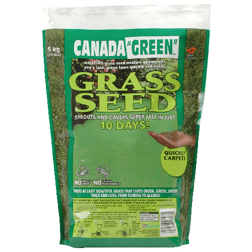 All-Purpose Grass Seed - 5 kg