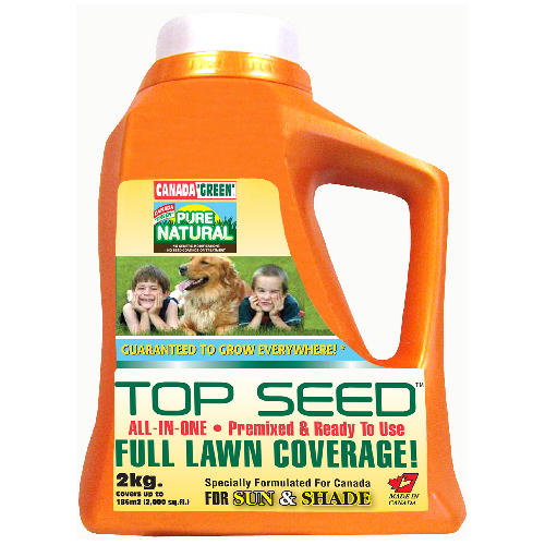 Grass seed