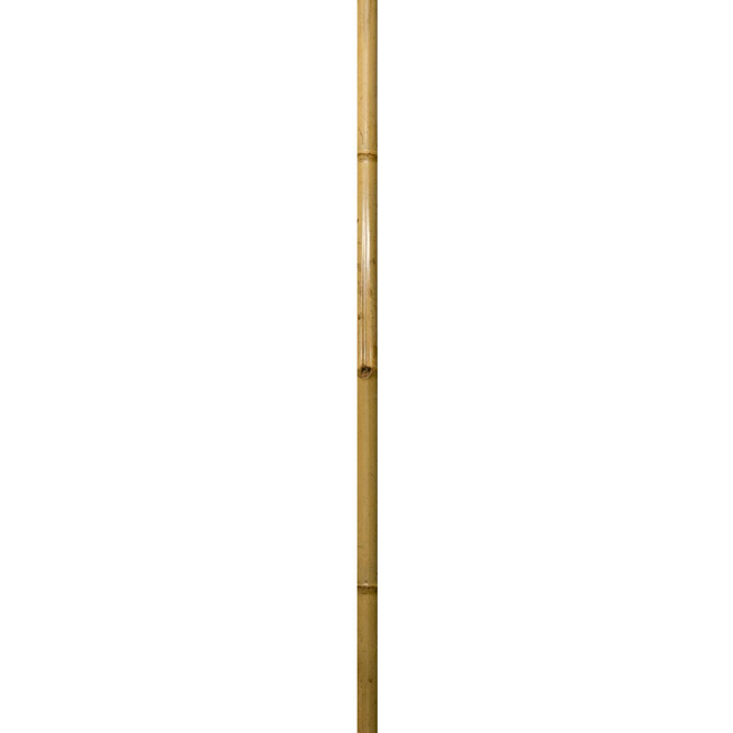 Natural Bamboo Stake