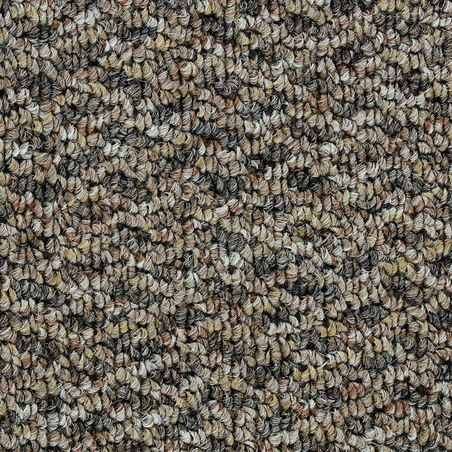 "Robin" Carpet