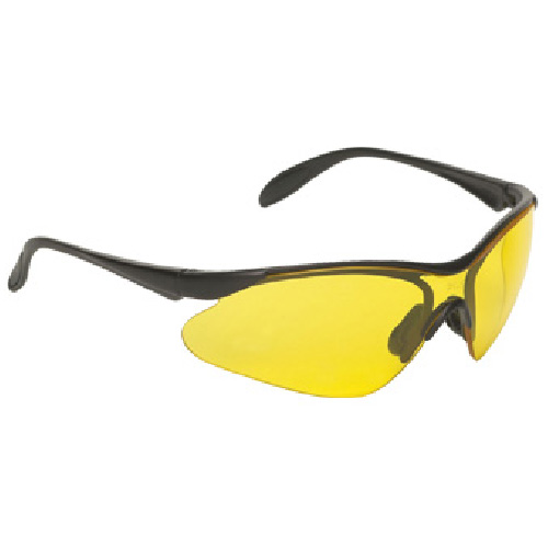 Lunettes sécurité