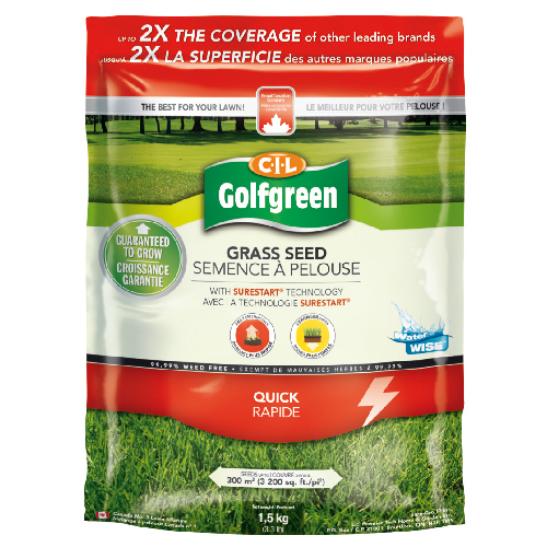 Grass seed