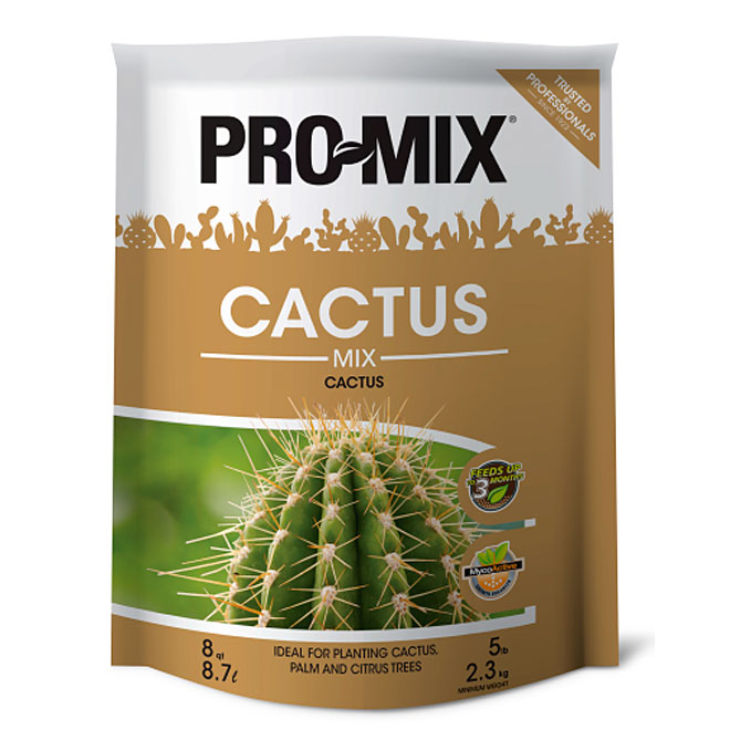Terreau à cactus