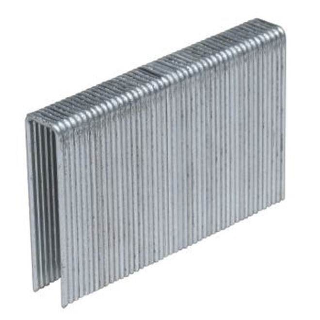Agrafes galvanisées, cal. 16, 1/2 po x 1 1/2 po, boîte de 5 000